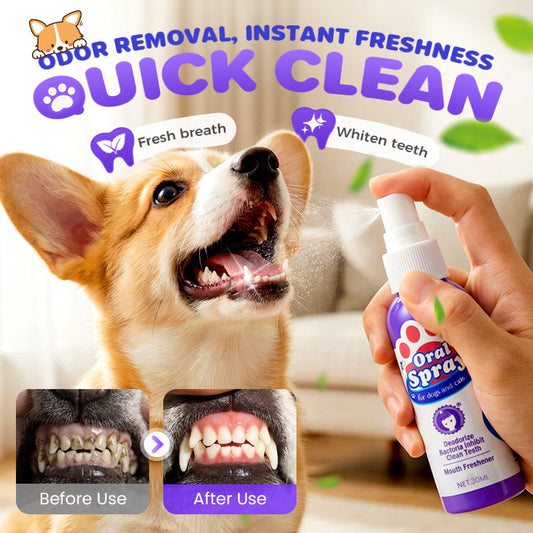 Joyliveo Pet Teeth Cleaning Spray | Tartar Dissolver & Breath Freshener