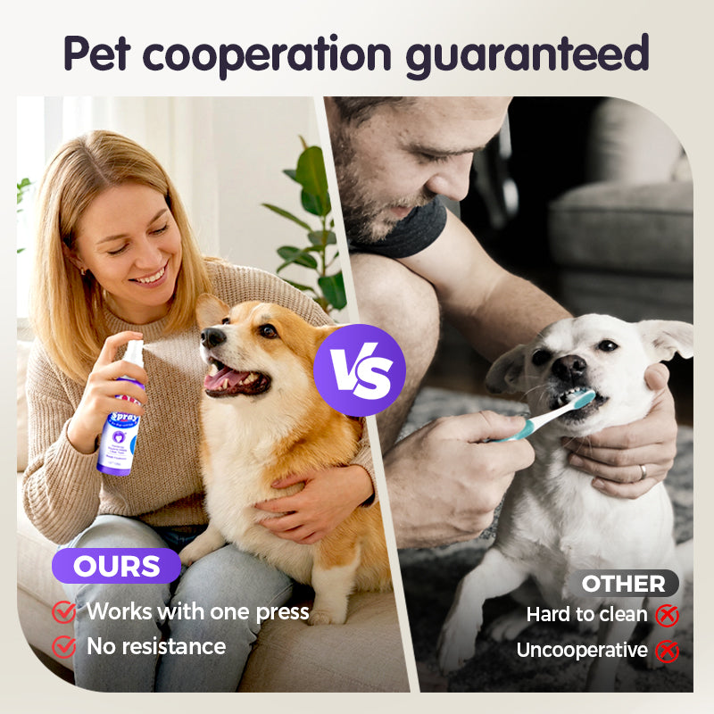 Joyliveo Pet Teeth Cleaning Spray | Tartar Dissolver & Breath Freshener