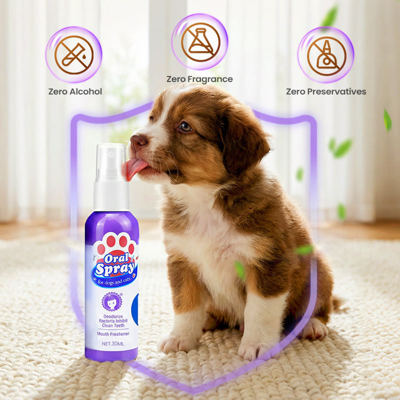 Joyliveo Pet Teeth Cleaning Spray | Tartar Dissolver & Breath Freshener
