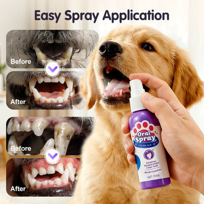 Joyliveo Pet Teeth Cleaning Spray | Tartar Dissolver & Breath Freshener