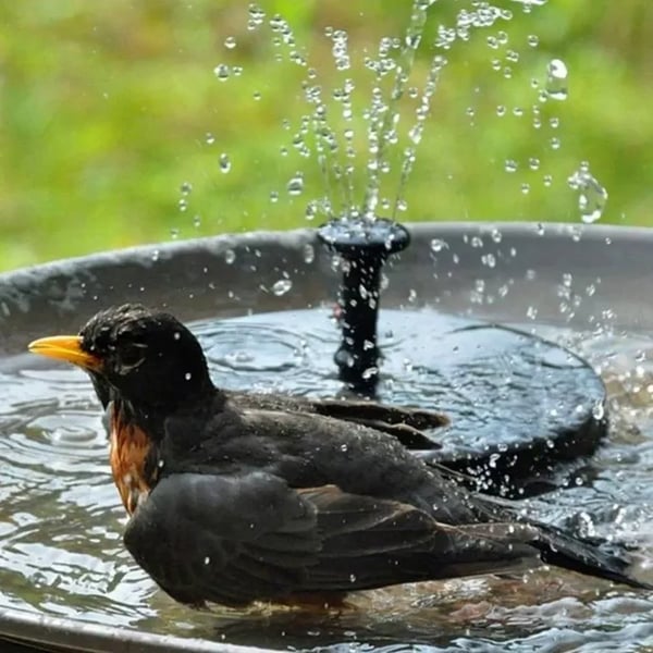 Compact Solar Bird Fountain Pump