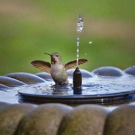 Compact Solar Bird Fountain Pump